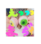 ちゃむちゃびん2（個別スタンプ：7）