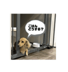 カニンヘンダックスちぇちぇまるの日常（個別スタンプ：29）