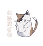 三毛猫姉弟（個別スタンプ：5）