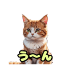 ねこねこねこねこねこだらけ（個別スタンプ：5）