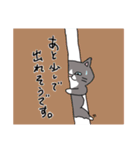 名前がほしい猫さんの日常（個別スタンプ：19）