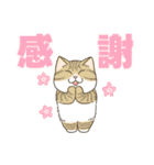 かわいい猫スタンプ(よく使う言葉)（個別スタンプ：3）