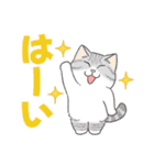 かわいい猫スタンプ(よく使う言葉)（個別スタンプ：11）