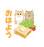 かわいい猫スタンプ(よく使う言葉)（個別スタンプ：17）