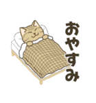 かわいい猫スタンプ(よく使う言葉)（個別スタンプ：20）