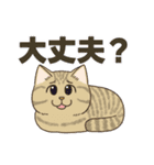 かわいい猫スタンプ(よく使う言葉)（個別スタンプ：22）