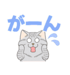 かわいい猫スタンプ(よく使う言葉)（個別スタンプ：26）