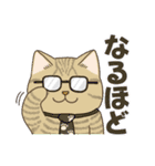 かわいい猫スタンプ(よく使う言葉)（個別スタンプ：29）