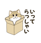 かわいい猫スタンプ(よく使う言葉)（個別スタンプ：36）