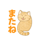 かわいい猫スタンプ(よく使う言葉)（個別スタンプ：40）