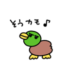 そうカモ♩（個別スタンプ：11）