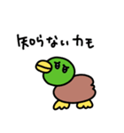 そうカモ♩（個別スタンプ：12）