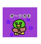 そうカモ♩（個別スタンプ：17）