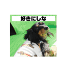 カニンヘンダックスフンドのカヌレです2（個別スタンプ：14）