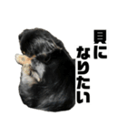 カニンヘンダックスフンドのカヌレです2（個別スタンプ：28）