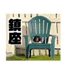 カニンヘンダックスフンドのカヌレです2（個別スタンプ：29）