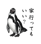 アレンジで遊べるメンヘラリアルペンギン（個別スタンプ：1）