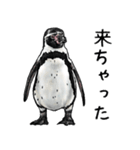 アレンジで遊べるメンヘラリアルペンギン（個別スタンプ：3）