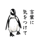 アレンジで遊べるメンヘラリアルペンギン（個別スタンプ：5）