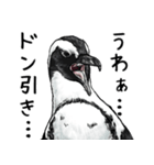 アレンジで遊べるメンヘラリアルペンギン（個別スタンプ：13）