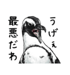 アレンジで遊べるメンヘラリアルペンギン（個別スタンプ：14）