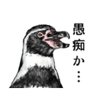 アレンジで遊べるメンヘラリアルペンギン（個別スタンプ：19）