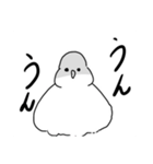 あなたがカカポを覗いているとき、カカポも（個別スタンプ：26）