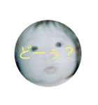 みんながはっぴー（個別スタンプ：7）