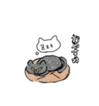 悪い猫色付きバージョン1（個別スタンプ：2）