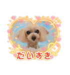 トイプードルkuuちゃん。（個別スタンプ：7）