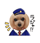 トイプードルkuuちゃん。（個別スタンプ：10）