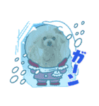 トイプードルkuuちゃん。（個別スタンプ：13）