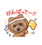 トイプードルkuuちゃん。（個別スタンプ：14）