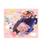 トイプードルkuuちゃん。（個別スタンプ：17）
