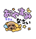 トイプードルkuuちゃん。（個別スタンプ：24）