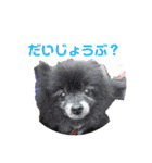 ぽんすけスタンプ_02（個別スタンプ：10）
