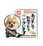 ぽんすけスタンプ_02（個別スタンプ：13）