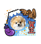 ぽんすけスタンプ_02（個別スタンプ：14）