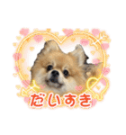 ぽんすけスタンプ_02（個別スタンプ：21）