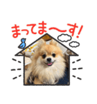 ぽんすけスタンプ_02（個別スタンプ：26）