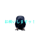 荒木 貴志のスタンプ（個別スタンプ：24）