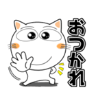 しろねこ★デカ文字 毎日使える（個別スタンプ：13）