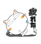 しろねこ★デカ文字 毎日使える（個別スタンプ：15）