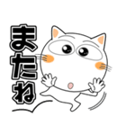 しろねこ★デカ文字 毎日使える（個別スタンプ：40）