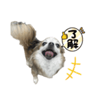 #ももたの日常（個別スタンプ：2）