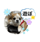 #ももたの日常（個別スタンプ：10）
