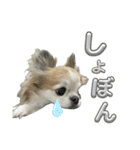 #ももたの日常（個別スタンプ：15）
