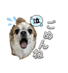 #ももたの日常（個別スタンプ：16）