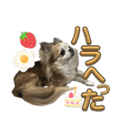 #ももたの日常（個別スタンプ：25）