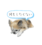 #ももたの日常（個別スタンプ：28）